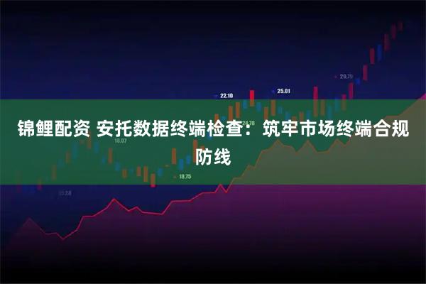 锦鲤配资 安托数据终端检查：筑牢市场终端合规防线