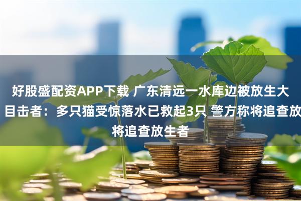 好股盛配资APP下载 广东清远一水库边被放生大量猫 目击者：多只猫受惊落水已救起3只 警方称将追查放生者