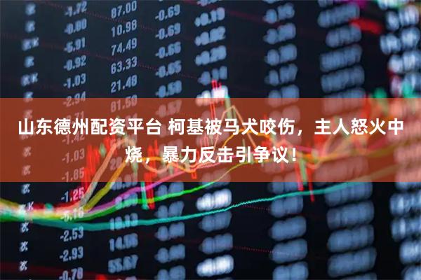 山东德州配资平台 柯基被马犬咬伤，主人怒火中烧，暴力反击引争议！