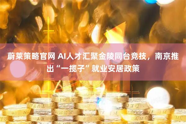 蔚莱策略官网 AI人才汇聚金陵同台竞技,南京推出“一揽子”就业安居政策